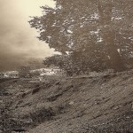Σκοτίνα, Γιάννης Κυρίτσης, Ο Όλυμπος του Boissonnas, Η πρώτη ανάβαση στην κατοικία των Θεών οι πρώτες φωτογραφίες του μυθικού βουνού, Θεσσαλονίκη 2002, σ.29.
